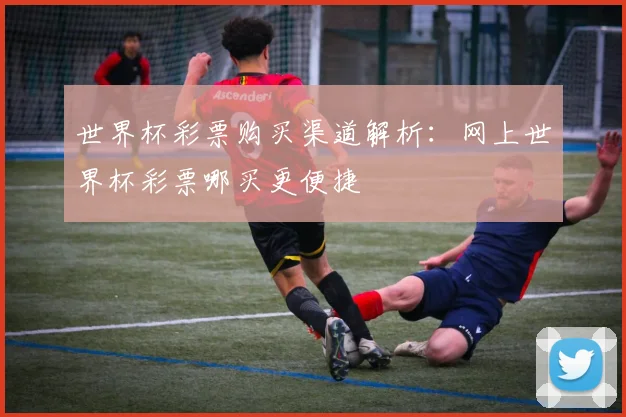世界杯彩票购买渠道解析：网上世界杯彩票哪买更便捷
